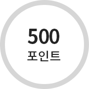 포인트 500